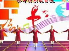 凤之韵广场舞 《油菜花之恋》 武阿哥编舞