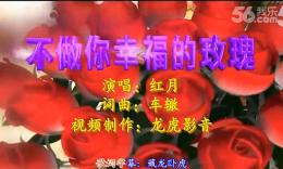 可爱玫瑰花广场舞 幸福的玫瑰 附分解动作 刘瑛编舞