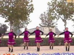巨鹿霓裳依依广场舞 《一曲相送》 含背面动作分解教学