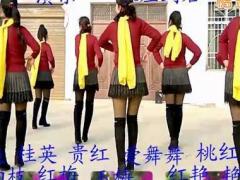 爱舞舞广场舞 《康巴情》