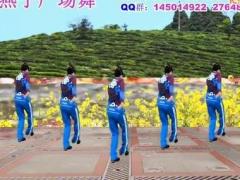 沅陵燕子广场舞 《美丽大中国》 含背面动作示范