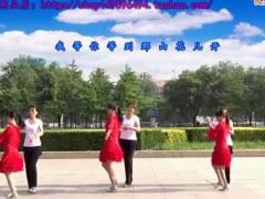 香儿广场舞 等到山花开 交际舞 快四
