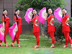 杨丽萍广场舞 《大辫子》 单扇扇子舞 含背面动作分解教学