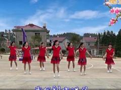 游城广场舞 等你一生够不够 团队版 附背面分解